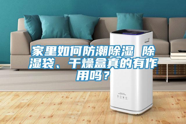 家里如何防潮除濕 除濕袋、干燥盒真的有作用嗎？