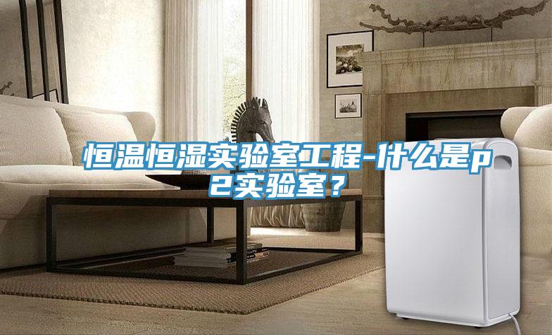 恒溫恒濕實(shí)驗(yàn)室工程-什么是p2實(shí)驗(yàn)室？