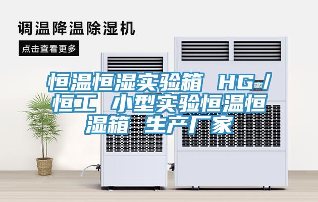 恒溫恒濕實驗箱 HG／恒工 小型實驗恒溫恒濕箱 生產(chǎn)廠家