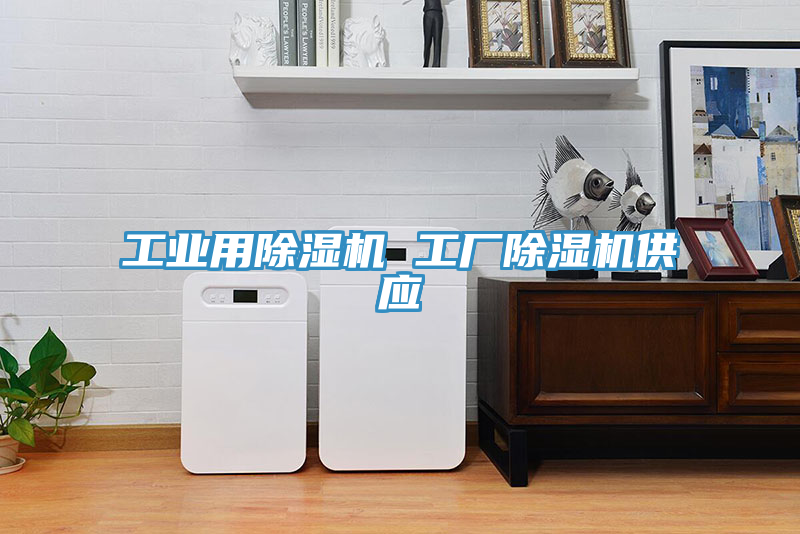 工業(yè)用除濕機 工廠除濕機供應(yīng)