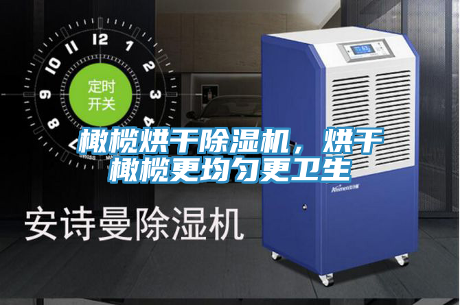 橄欖烘干除濕機(jī)，烘干橄欖更均勻更衛(wèi)生