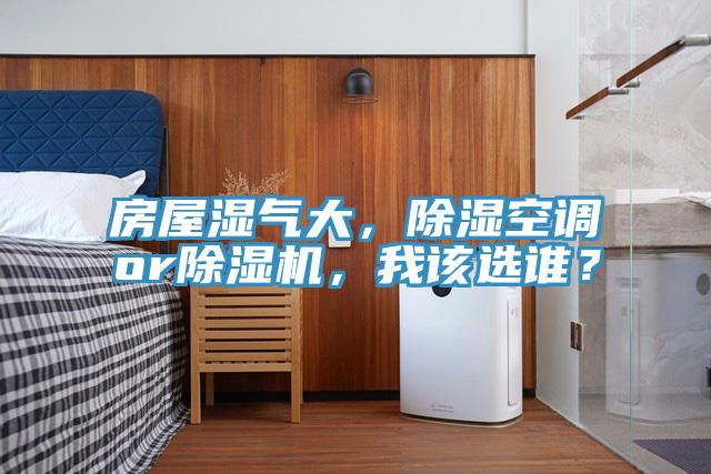 房屋濕氣大，除濕空調(diào)or除濕機，我該選誰？
