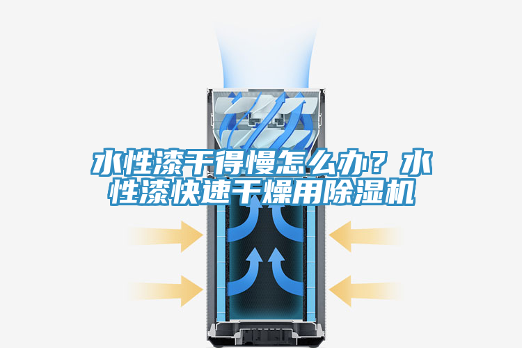 水性漆干得慢怎么辦？水性漆快速干燥用除濕機