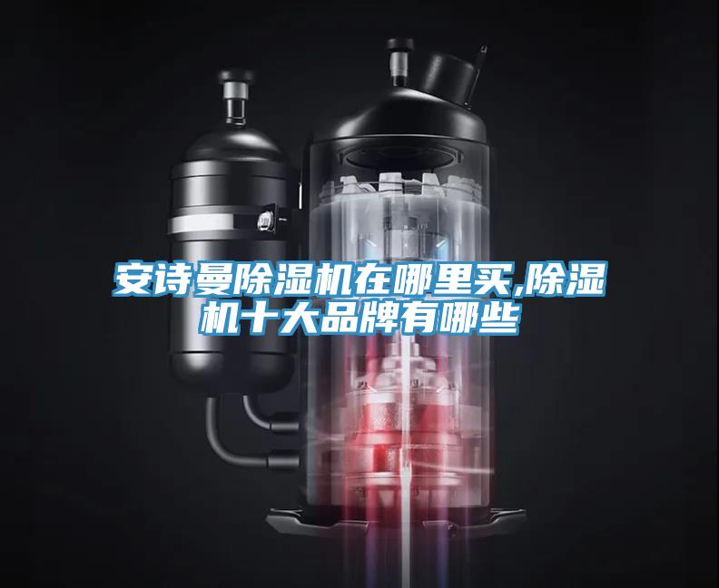 安詩曼除濕機(jī)在哪里買,除濕機(jī)十大品牌有哪些