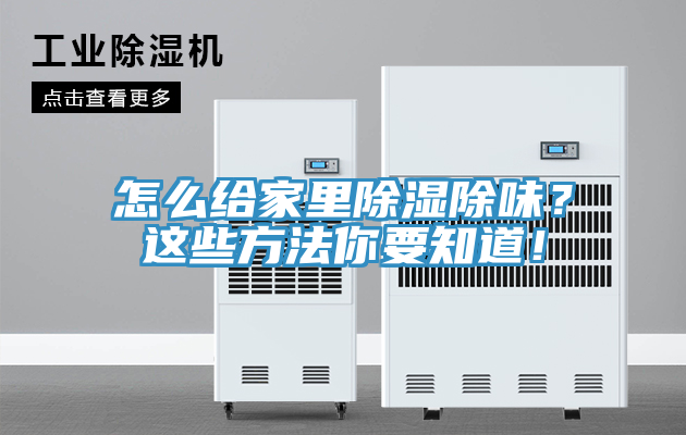 怎么給家里除濕除味？這些方法你要知道！