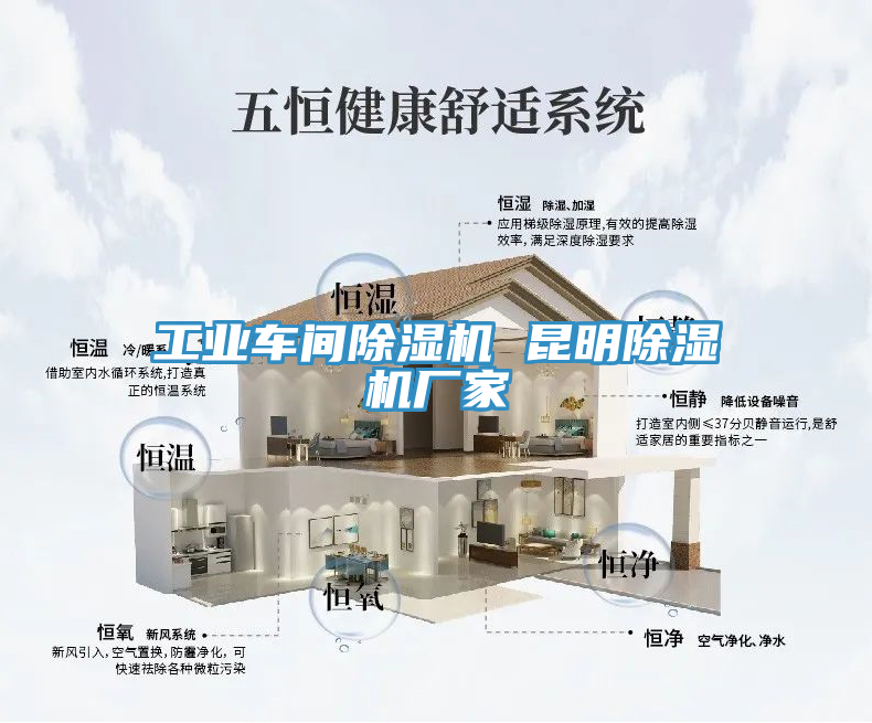 工業(yè)車間除濕機(jī) 昆明除濕機(jī)廠家