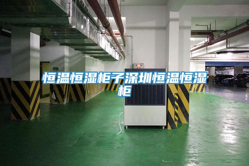 恒溫恒濕柜子深圳恒溫恒濕柜