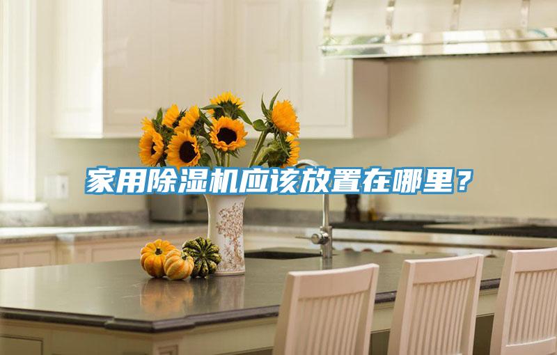 家用除濕機應該放置在哪里？