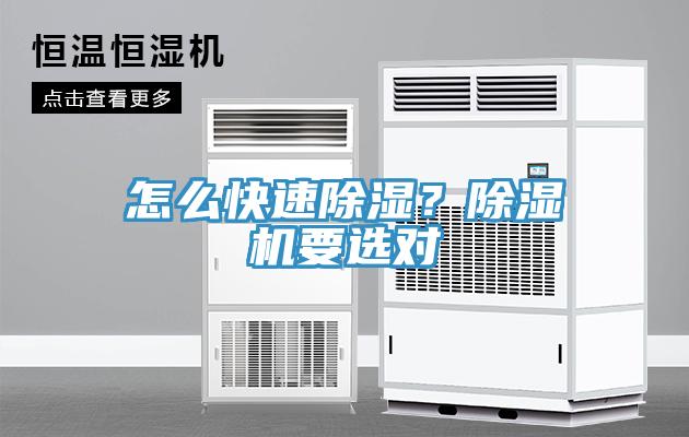 怎么快速除濕？除濕機(jī)要選對(duì)