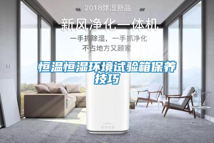 恒溫恒濕環(huán)境試驗(yàn)箱保養(yǎng)技巧