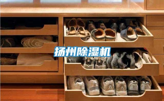 揚州除濕機(jī)