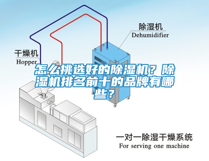 怎么挑選好的除濕機？除濕機排名前十的品牌有哪些？