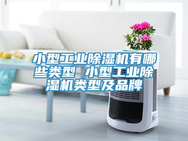 小型工業(yè)除濕機有哪些類型 小型工業(yè)除濕機類型及品牌