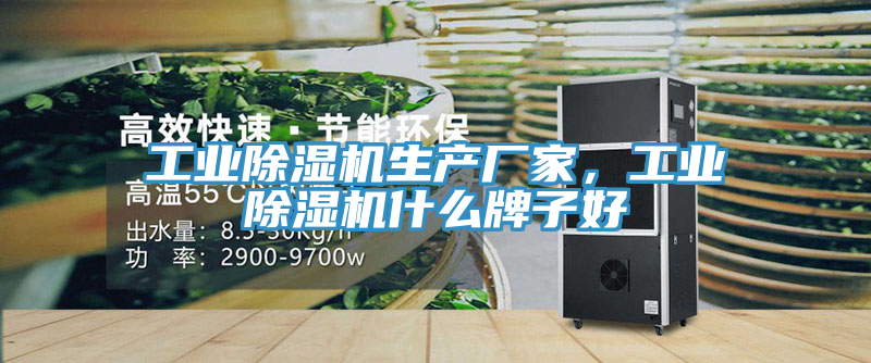 工業(yè)除濕機(jī)生產(chǎn)廠家，工業(yè)除濕機(jī)什么牌子好