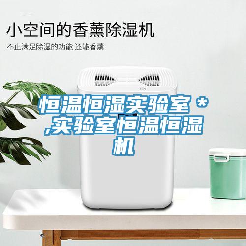 恒溫恒濕實(shí)驗(yàn)室＊,實(shí)驗(yàn)室恒溫恒濕機(jī)