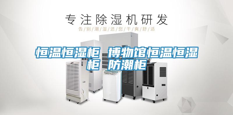 恒溫恒濕柜 博物館恒溫恒濕柜 防潮柜