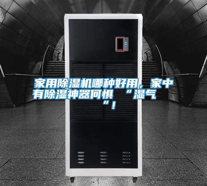 家用除濕機哪種好用，家中有除濕神器何懼 “濕氣 “！