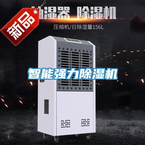 智能強(qiáng)力除濕機(jī)