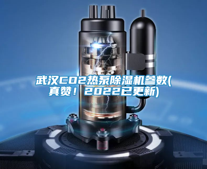 武漢CO2熱泵除濕機參數(shù)(真贊！2022已更新)