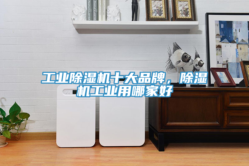 工業(yè)除濕機十大品牌，除濕機工業(yè)用哪家好