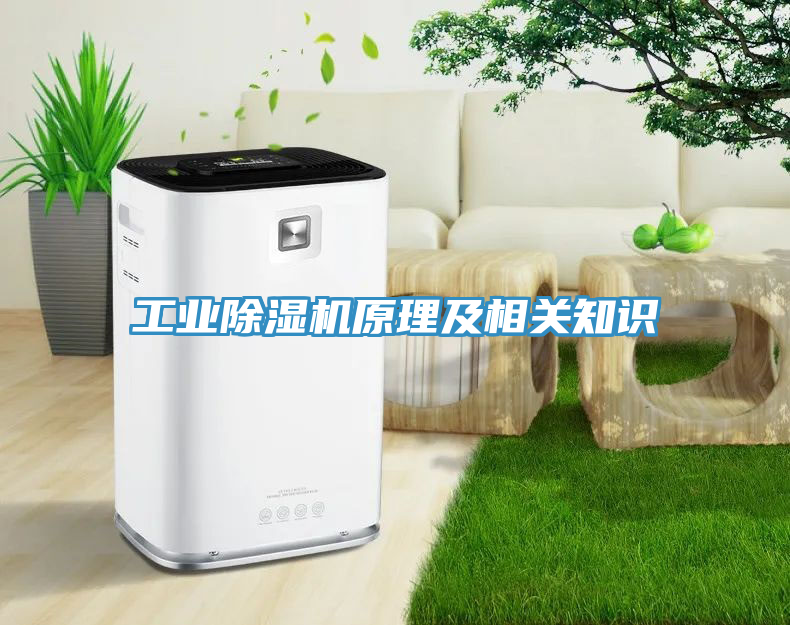工業(yè)除濕機(jī)原理及相關(guān)知識(shí)