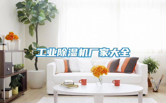 工業(yè)除濕機廠家大全