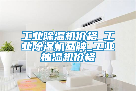 工業(yè)除濕機價格_工業(yè)除濕機品牌_工業(yè)抽濕機價格