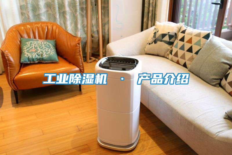 工業(yè)除濕機 · 產品介紹