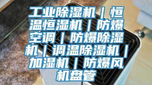 工業(yè)除濕機(jī)｜恒溫恒濕機(jī)｜防爆空調(diào)｜防爆除濕機(jī)｜調(diào)溫除濕機(jī)｜加濕機(jī)｜防爆風(fēng)機(jī)盤(pán)管