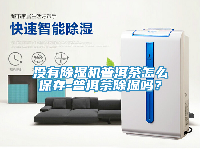 沒(méi)有除濕機(jī)普洱茶怎么保存-普洱茶除濕嗎？
