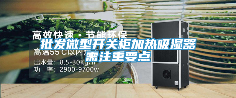 批發(fā)微型開關(guān)柜加熱吸濕器需注重要點(diǎn)