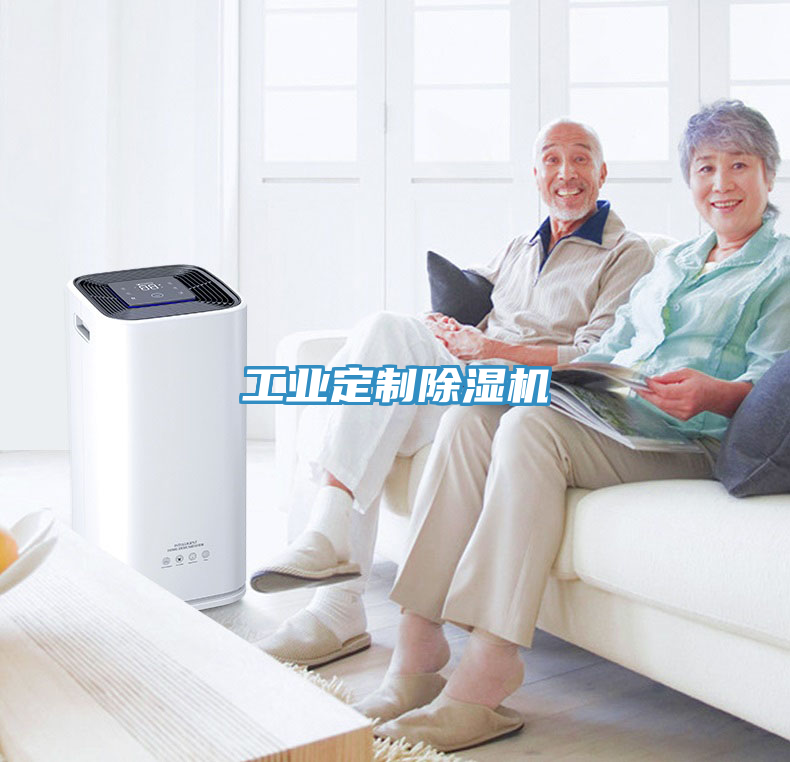 工業(yè)定制除濕機(jī)