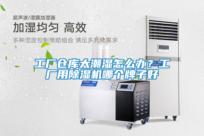 工廠倉(cāng)庫(kù)太潮濕怎么辦？工廠用除濕機(jī)哪個(gè)牌子好