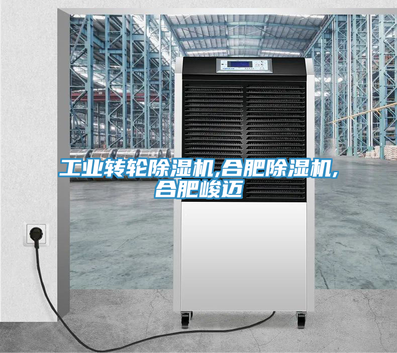 工業(yè)轉輪除濕機,合肥除濕機,合肥峻邁
