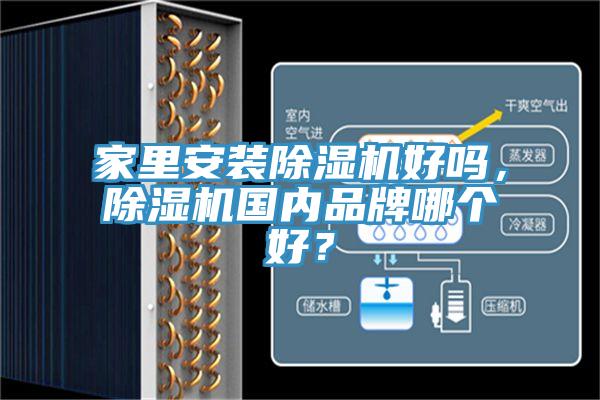 家里安裝除濕機好嗎，除濕機國內品牌哪個好？