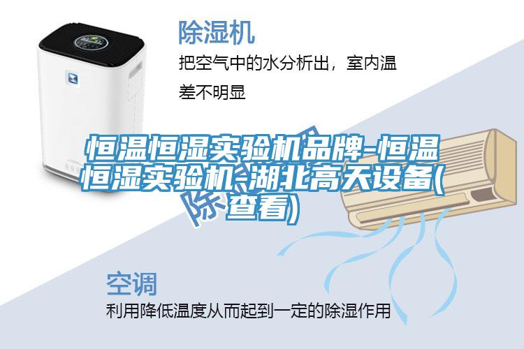 恒溫恒濕實驗機品牌-恒溫恒濕實驗機-湖北高天設(shè)備(查看)