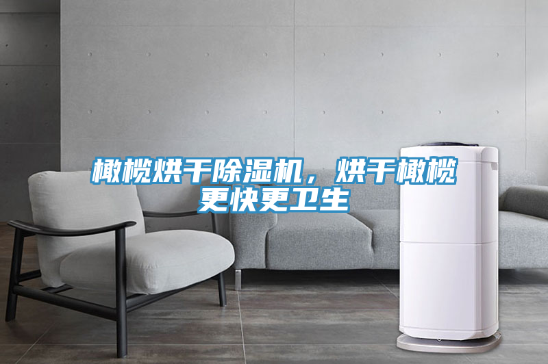 橄欖烘干除濕機(jī)，烘干橄欖更快更衛(wèi)生