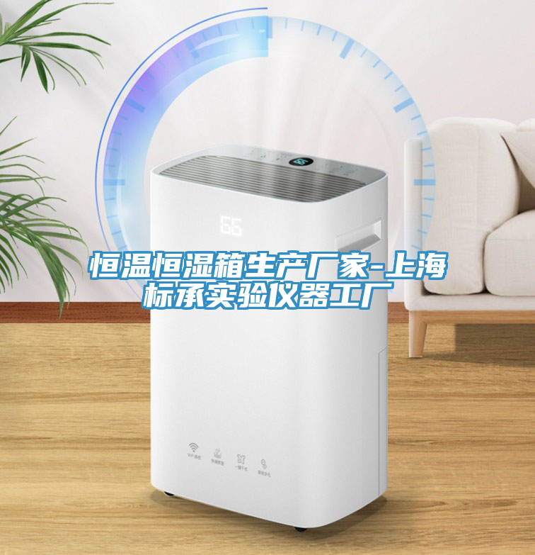 恒溫恒濕箱生產(chǎn)廠家-上海標承實驗儀器工廠