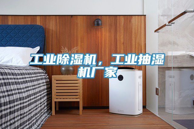 工業(yè)除濕機(jī)，工業(yè)抽濕機(jī)廠家