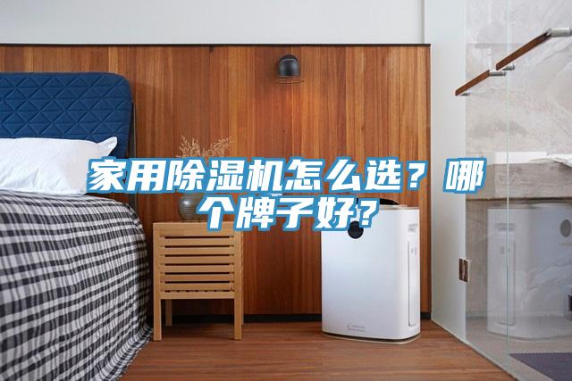 家用除濕機(jī)怎么選？哪個(gè)牌子好？