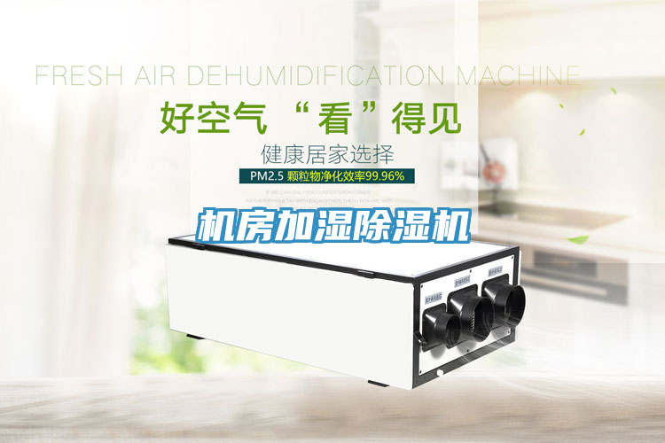 機(jī)房加濕除濕機(jī)