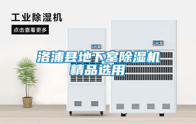 洛浦縣地下室除濕機(jī)精品選用