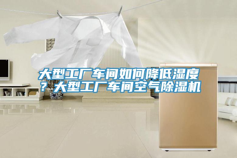 大型工廠車(chē)間如何降低濕度？大型工廠車(chē)間空氣除濕機(jī)
