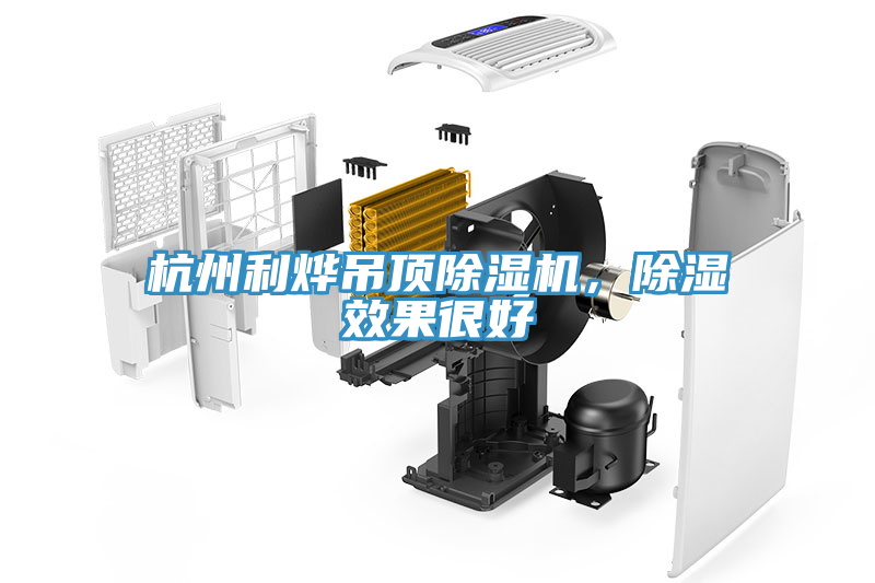 杭州利燁吊頂除濕機(jī)，除濕效果很好