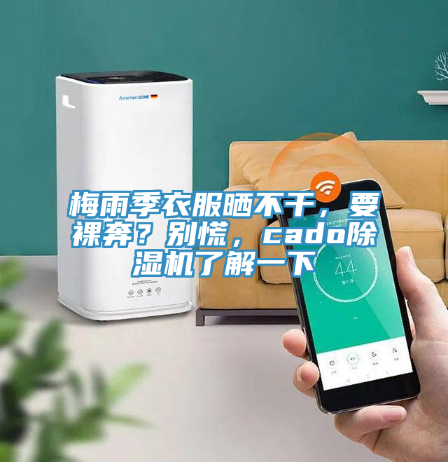 梅雨季衣服曬不干，要裸奔？別慌，cado除濕機了解一下
