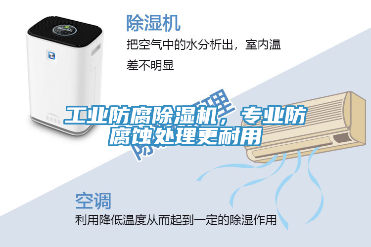 工業(yè)防腐除濕機，專業(yè)防腐蝕處理更耐用