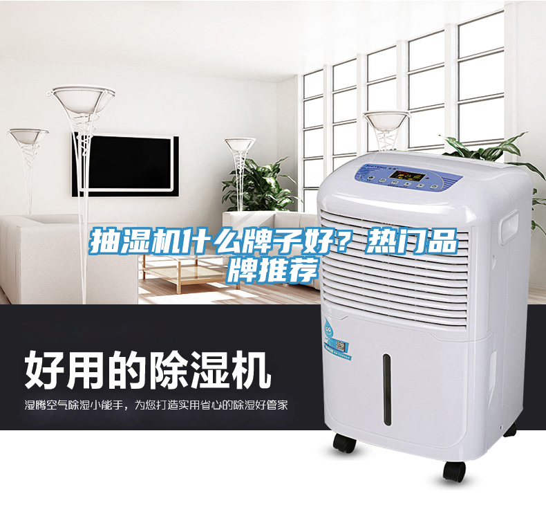 抽濕機(jī)什么牌子好？熱門品牌推薦