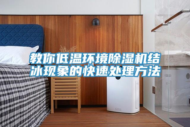 教你低溫環(huán)境除濕機(jī)結(jié)冰現(xiàn)象的快速處理方法
