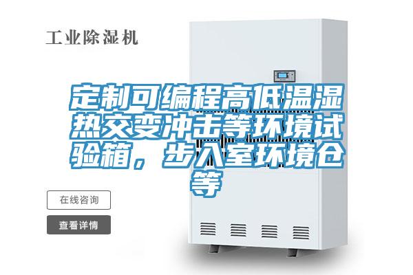 定制可編程高低溫濕熱交變沖擊等環(huán)境試驗(yàn)箱，步入室環(huán)境倉(cāng)等