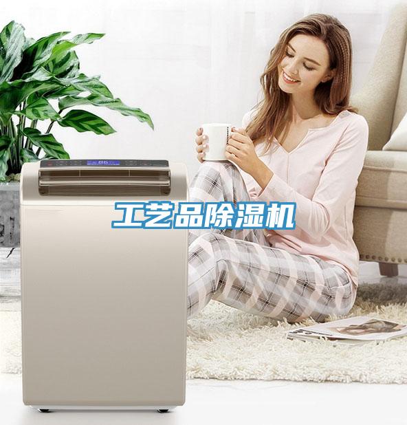 工藝品除濕機(jī)